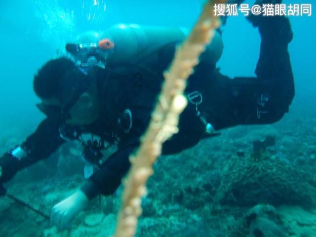 听说湖北人高冷?嗯!
